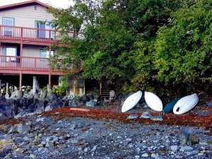Sitka Rock Shoreline with boats